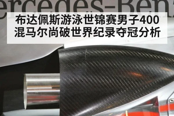 布达佩斯游泳世锦赛男子400混马尔尚破世界纪录夺冠分析